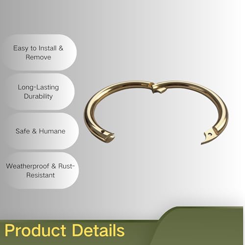 Brass Bull Nose Ring for Cattle – 3.15" Livestock Bull Ring, 2Pack – Durable Metal Farm Tool for Bulls, Cows & Calves