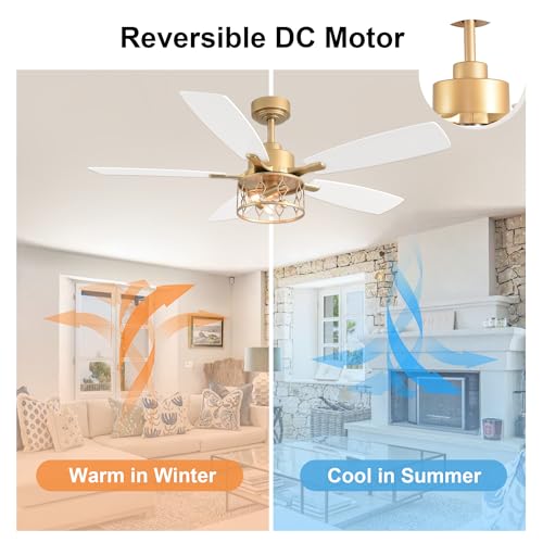 52 Inch White and Gold Ceiling Fan with Lights Modern Fandelier | Industrial Caged Fandalier, Farmhouse Rustic Chandelier Light for Living Room Bedroom, Reversible 6 Speeds, Remote Control - color: Gold, size: 52 Inch