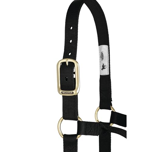 Weaver Leather Original Non-Adjustable Nylon Horse Halter, Black, Yearling