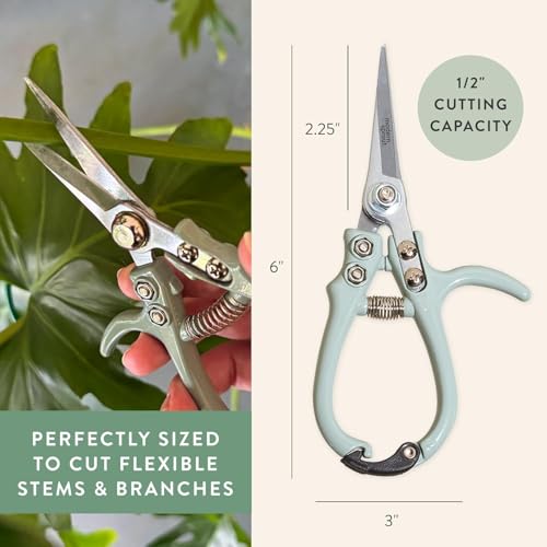 Modern Sprout Pruning Shears - Garden Snips - Herb Scissors - Multi 12-Pack | Lightweight Gardening Tool - Durable Carbon Steel Blade W/Easy-Lock - Gardening Supplies - Flower Cutter - Reusable Holster - color: Multicolor - 12pcs