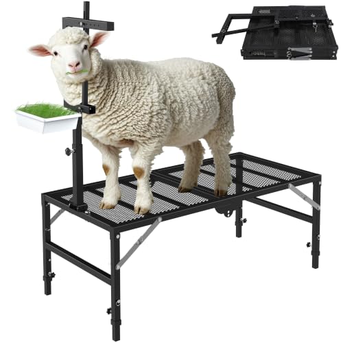 Foldable Goat Miliking Stand - 51x23 inch Metal Livestock Stand with Removable Feeding Tray, 500lbs Capacity Goat Sheep Stand for Trimming Shearing Milking Hoof with Adjustable Headpiece and Height