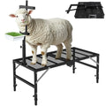 Foldable Goat Miliking Stand - 51x23 inch Metal Livestock Stand with Removable Feeding Tray, 500lbs Capacity Goat Sheep Stand for Trimming Shearing Milking Hoof with Adjustable Headpiece and Height