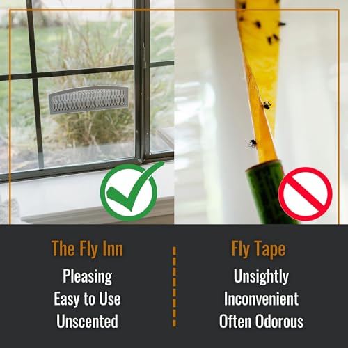 Dr. Killigan's Sticky Window Fly Traps Indoor, 2 Traps + 4 Inserts | Indoor Insect Trap, Catches and Hides Bugs, Looks Better Than Fly Paper or Fly Ribbon
