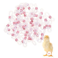 M METERXITY 50-Pack Adjustable Chick Leg Bands, 0.79" x 0.2" Silicone Chicken Leg Brace for Chicks/Ducks/Birds [Pink] Poultry Leg Bands - color: Pink