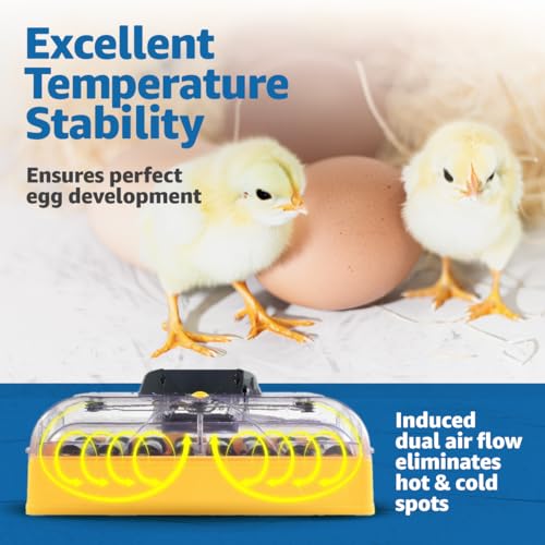 Brinsea Ovation 28 EX Egg Incubator, Humidity Control & Educational Book | 50+ years of trusted precision! Built-in automatic humidity, auto-turn & temp alarms take the stress out of hatching 28 eggs - style: With Book
