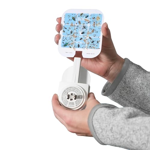 Safer Home Flying Insect Trap Official Refills | 6 Glue Card Refills for Plug-In Fruit Fly, Moth & Gnat Trap, Fruit Fly Killer, 24/7 Catch, SH506 - size: 6 Safer Home Glue Cards