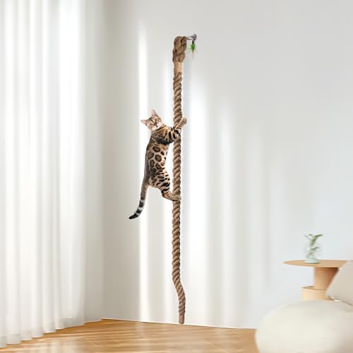 2" x 9.84Ft Cat Climbing Rope with Hook for Ceiling & Wall Mounted | Natural Sisal Rope for Cat Scratcher with Feather Toy for Indoor/Outdoor Cats, Durable Cat Tree Replacement Rope