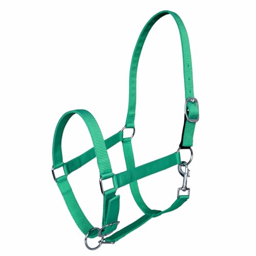 TuffRider Miller's Adjustable Nylon Halter with Snap and Breakaway Leather - color: Emerald Green, size: Horse