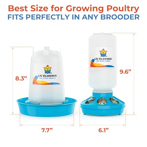 Lil'Clucker 1L Chick Feeder, 1.5L Chicken Waterer - No Leakage Chick Feeder and Waterer Kit, Durable Chicken Water Feeder, Chicken Feeder and Waterer Set, Poultry Waterer (Blue) - color: Blue