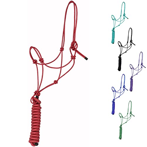 Majestic Ally 1/4" Rope 4 Knot Stiff Polyester Training Halter with 10’ Matching Lead Rope for Horses – Full (Red, Full) - color: Red, size: Full