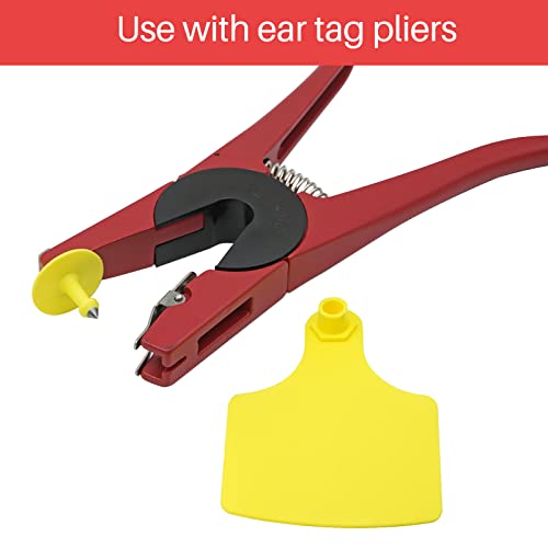 4.1" L×3.5" W Cattle Ear Tags Big Blank 100PCS Livestock Identification TPU | Cow Ear Tags for Cattle Laser Tags for Cows Pigs Hog Goats Sheep Calf Animal Goat Sheep Earring Tags Non-fading (Yellow) - color: 4-yellow