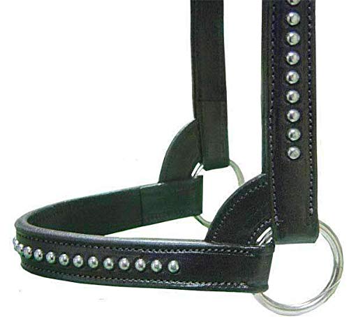 Derby Originals New and Improved Premium Show Spotted Flat Leather Cattle Show Halter with Matching Chain Lead - color: Havana, size: Small (350-700lbs)