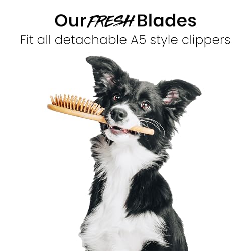 Fresh 15 Dog Grooming Blade, 3/64" (1.0 mm) Cut, Fits Andis, Oster, Wahl A5 Detachable Clippers, High-Carbon Steel with Chrome Coating, Sharp & Durable Blade for Sanitary or Detail Grooming - size: 15