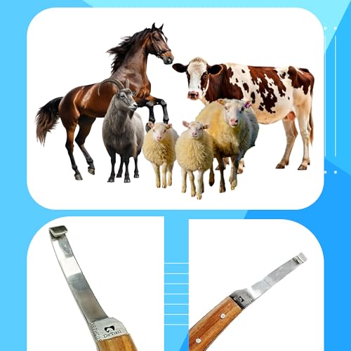Hoof Knife with Narrow Single Sided Edge Right Hand Farrier Tool for Horses and Livestock – Premium Stainless Steel Hoof Trimming Knife with Ergonomic Contoured Handle for Better Grip - style: Narrow Blade - RH