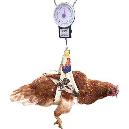 Chicken Holder Sling with Weight Scale for Roosters Hen Cock Poultry Weighing Scale