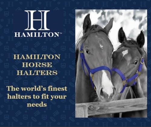 Hamilton Quality Adjustable Horse Halter, 100-200 lbs, Hot Pink | Premium Quality 3/4" Triple Ply Nylon, Pony/Mini Donkey, Adjustable Chin Strap, Rolled Throat, Brass Plated Hardware - color: Hot Pink, size: Pony, 100-200lbs