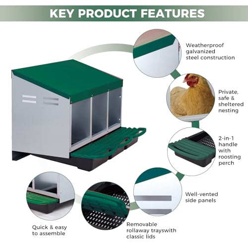3 Hole Chicken Nesting Box - Heavy Duty Metal Chicken Laying Box, Easy Egg Collection & Cleaning with Removable Tray for Poultry Coop, Backyard, Farm - color: green, size: 3 holes
