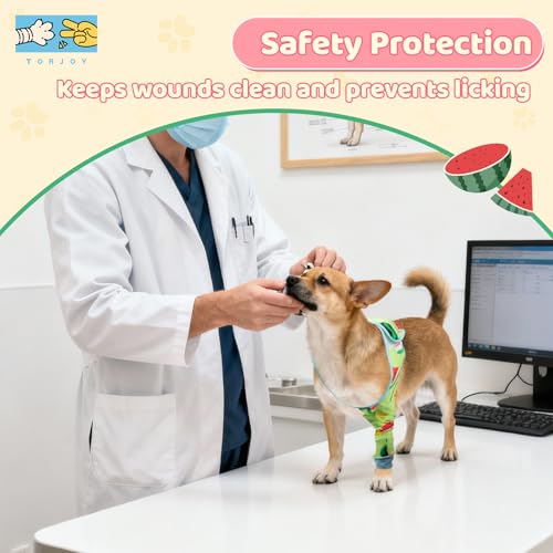 Dog Front Leg Recovery Sleeve – Single Sleeve to Prevent Licking, Scratching & Biting Cone Collar Alternative for Surgery, Wound Care, ACL CCL, Joint Protection - color: Sweet Watermelon, size: X-Large