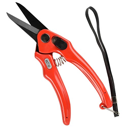 Other BURGON & BALL FOOTROT SHEARS SUPERSHARP, Clear, 350 ml, BBL0038
