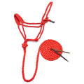 Jeffers Equine Braided Mule Tape Halter with 10' Detachable Lead Rope Set for Horses, 14 to 18 Hands - Stylish Design with Adjustable Poll Strap, Easy to Use Western Tack - Red - color: Red