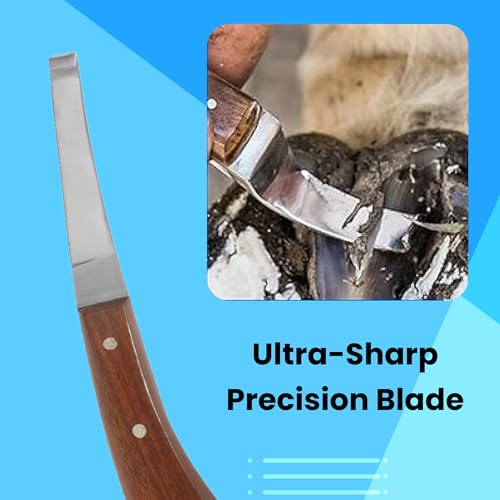 Hoof Knife with Comfortable Wooden Handle - Ergonomic Grip for Horse Farriers and Horse Hoof and Horseshoe Trimming - style: Polished Wooden Grip