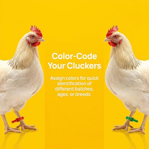 Chicken Leg Bands, 100 Pack | Adjustable Poultry Identification Bands with Number and Letter Charms for Chicks and Birds