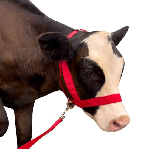 Cow Halter Cattle Halters Calf Halter with Leading Rope，Adjustable Nylon Livestock Cattle Halter，for Miniature Horse Donkey Goat Foal (Red, Large) - color: Red, size: Large
