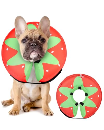 MIDOG Inflatable Dog Cone, Donut Recovery Collar After Surgery, Medium+ | Soft inflatable donut e-collar; stops licking after surgery; pet eats & sees normally; neck 14-18 in (M+); not for chewers - color: Tomato, size: Medium+ (Neck:14"-18")