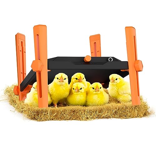 Pet & Livestock HQ Chicken Brooder Heater for Chicks - Chick Brooder Heat Plate - 12” x 12” Indoor Brooder Heating Kit with Adjustable Height and Temperature Display