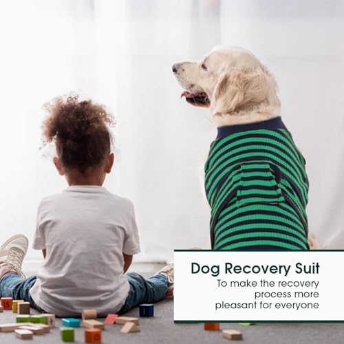 Kuoser Recovery Suit for Dogs Cats, Soft Dog Surgery Suit Female Male Spay | Professional Dog Onesie for Surgery, Substitute E-Collar & Cone, Prevent Licking Dog surgical suit Pet Neuter Suit - color: Green Stripe, size: X-small (Back:8.3-11.4'', Weight:4