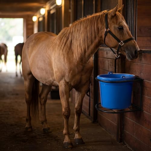 1 Pcs 5 Gallon Heavy Duty Horse Bucket Holder Wall Mounted Metal Water and Feed Bucket Hanger for Horse, Goat, Sheep and Other Livestock, Black