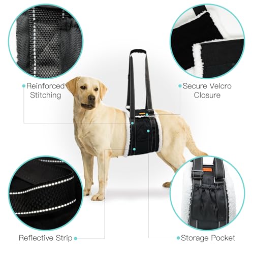 Dog Lift Harness Sling for Back Legs, Adjustable Rear Leg Support & Mobility Aid, Hip Support for Senior/Disabled Dogs, Soft Fleece Lining, Padded Handles, for CCL/ACL Surgery (Black, Medium) - size: Medium