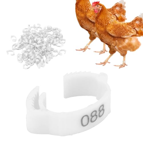 100PCS Chicken Leg Rings, 5 Colors Chicken Leg Bands Readable Numbered Chicken Identification Leg Bands Card Slots Design for Chicks Ducks (White (100 Pieces per Pack)) - color: White (100 Pieces Per Pack)
