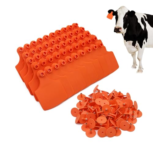 4.1" L×3.5" W Cattle Ear Tags Big Blank 100PCS Livestock Identification TPU | Cow Ear Tags for Cattle Laser Tags for Cows Pigs Hog Goats Sheep Calf Animal Goat Sheep Earring Tags Non-fading (Orange) - color: 7-orange