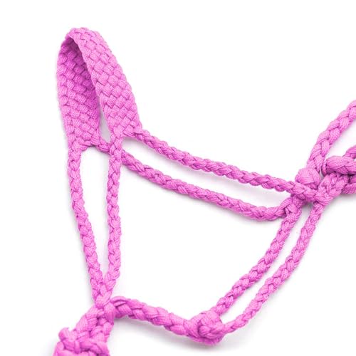 Jeffers Equine Braided Mule Tape Halter with 10' Detachable Lead Rope Set for Horses, 14 to 18 Hands - Stylish Design with Adjustable Poll Strap, Easy to Use Western Tack - Pink - color: Pink