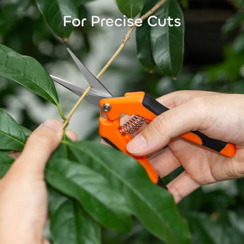 GROWNEER 3 Packs 6.5 Inch Pruning Shears Gardening Hand Pruning Snips Gardening Scissors with Straight Stainless Steel Precision Blades - style: Orange