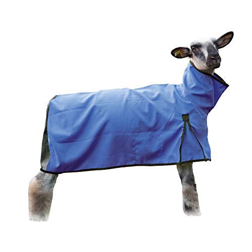 Weaver Livestock Sheep Blanket, Mesh Butt, Extra-Small, Blue