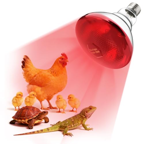 250W Heat Lamp Bulbs 1 Pack Infrared Heat Lamp for Chickens with E26 Socket and 5000 Hours Lifespan Heat Light Bulb for Pets Chicks Reptile Food Service Brooder Coop(2 Pack) - size: 2 Pack