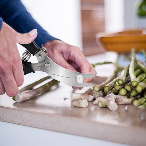 Mr. Pen- Heavy Duty Poultry Shears, Chicken Shears, Meat Cutting Scissors | Chicken Scissors Heavy Duty