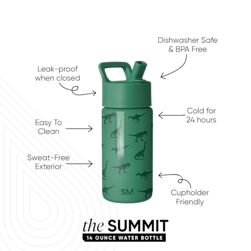 Simple Modern Kids Water Bottle & Toddler Cup | 14oz | Dinosaur | Insulated Stainless Steel Toddler Water Bottle, Kids Tumbler with Straw | Spill Proof for School, Girls, Boys | Dino World - color: -Dino World, size: 14 Ounces