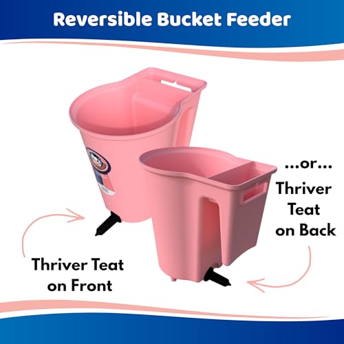 8L Reversible Calf Feeding Bucket with Thriver Nipple & Cap – 2 Gallon Single Teat Calf Feeder, Fence Mount, UV Protected One-Piece Construction for Livestock Feeding