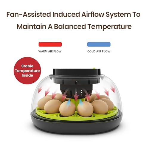 Incubators for Hatching Eggs 12 Egg Incubator with Automatic Egg Turning and Humidity Control,Egg Candler,Auto Water Replenishment,for Chicken Eggs and Quail Egg M12H - color: Green