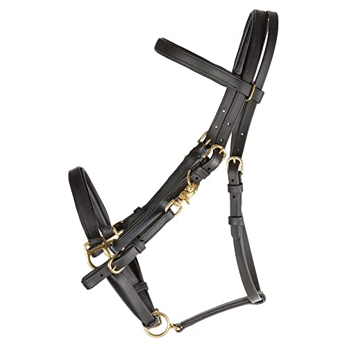 Dura-Tech All Weather Trail Halter for Horses/Bridle Combo | Versatile Horse Riding Essential | All-Weather Endurance | Effortless Conversion