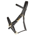 Dura-Tech All Weather Trail Halter for Horses/Bridle Combo | Versatile Horse Riding Essential | All-Weather Endurance | Effortless Conversion