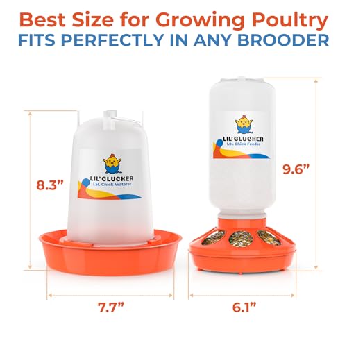 Lil'Clucker 1L Chick Feeder, 1.5L Chicken Waterer - No Leakage Chick Feeder and Waterer Kit, Hanging Baby Chick Waterer, Durable Chicken Water Feeder, Chicken Feeder and Waterer Set, Poultry Waterer - color: Orange