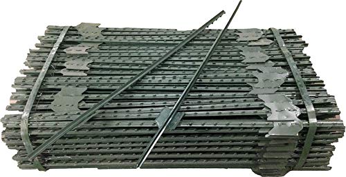 Sandbaggy Green Fence T-Post 5 Feet Length - for Securing Fencing or Safety Fence (800 Posts)