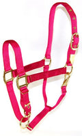 Hamilton Deluxe Adjustable Horse Halter, 800-1100 lbs, Raspberry | Premium Quality 1" Triple Ply Nylon, Average/Arabian/Yearling Draft, Adjustable Chin Strap, Throat Snap, Solid Brass Hardware - color: Raspberry, size: Average, 800-1100lbs