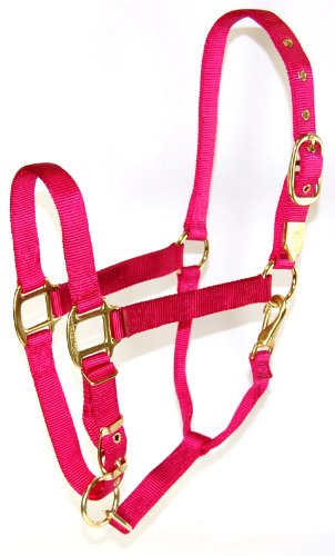 Hamilton Deluxe Adjustable Horse Halter, 800-1100 lbs, Raspberry | Premium Quality 1" Triple Ply Nylon, Average/Arabian/Yearling Draft, Adjustable Chin Strap, Throat Snap, Solid Brass Hardware - color: Raspberry, size: Average, 800-1100lbs