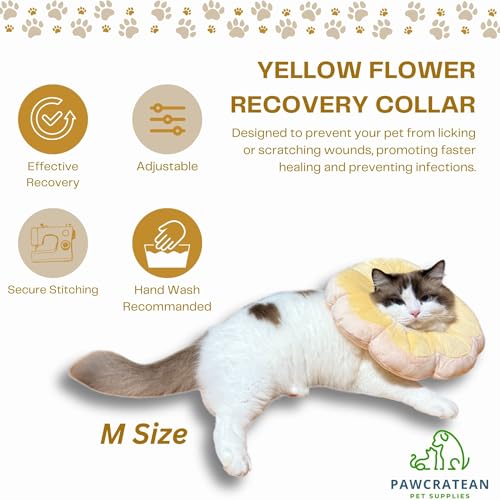 Adjustable Comfy Flower Style Elizabeth Collar for Cats Puppies Soft Recovery Cone Pet Protective Neck Collar (Yellow, Medium) - color: Yellow, size: Medium