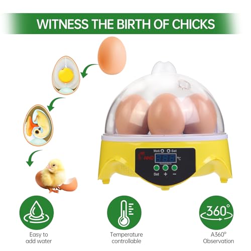 360° View 7-Egg Poultry Incubator for Hatching Chicken, Duck, Goose, Parrot, and Quail Eggs, with Temperature Control